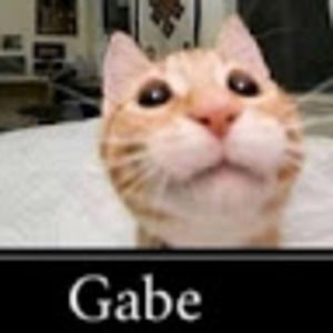 Meet your Posher, Jack